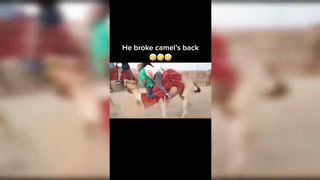 Funny compilation