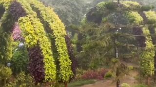 Beautiful Garden of Alexandria