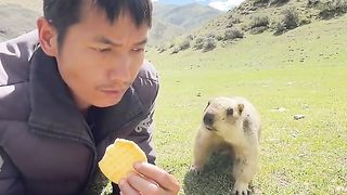 funny animal 20