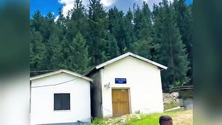 Beautiful Naltar Valley Gilgit Baltistan