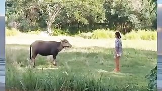 Funny video hahaha 3