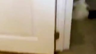 Compilation funny video 14
