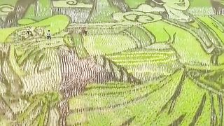 like this if a farmer has an artistic soul