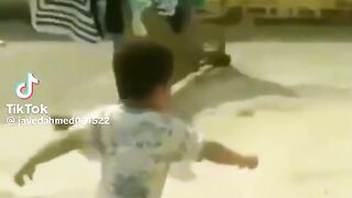 Funny video spot me bhai log in 43