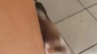 Mouse Daring