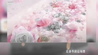 What is Life