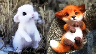 FUNNY ANIMALS COMPILATION | PART 1