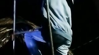 menangkap sarang tawon