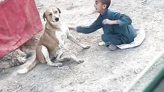 Love with dog by baby