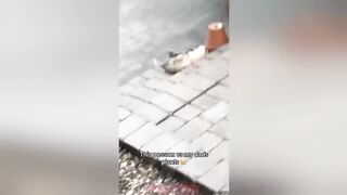 ATV FLIPPED! The Funniest Random Fail Compilation You’ll See All Week