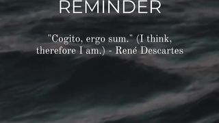 Motivation 325