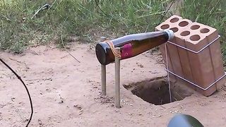 easy way to trap birds