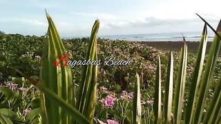 beach 3