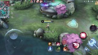 Mobile legend 41