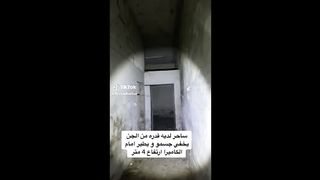 گھوسٹ ہنٹر حصہ 2