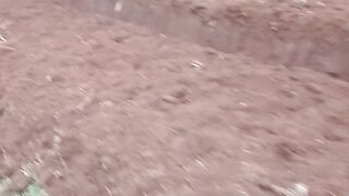 Proses nanam pohon kelapa