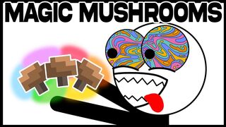 First Time Doing Mushrooms