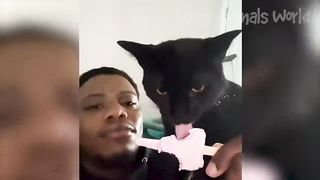 Funny Animal Videos 2023 ???? - Funniest Dogs and Cats Videos ???? #18.