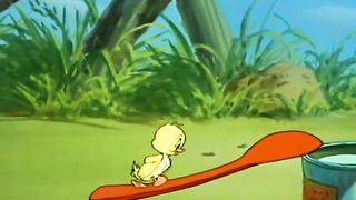Tom And Jerry Animated Cartoon