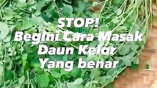 Cara memasak kelor yang benar
