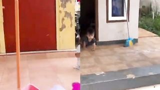 Video lucu 86