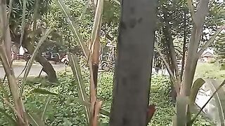 Pertanian kecil di kota besar