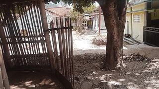 Kegabutan di kampung