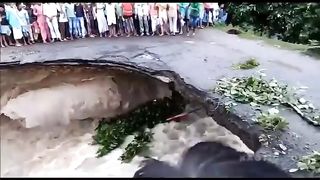 Bihar baris kishanganj