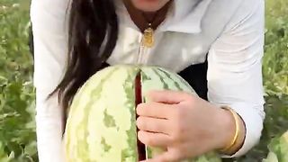 Farm fresh ninja fruit cutting #48 | Ly Chynh St #shorts