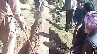 Gujjar Bakarwals  gojri culture in Kashmir|| beautiful Village dhok Bainser
