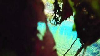 Aestetic video