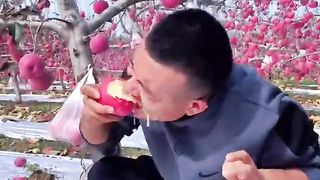 Farm fresh ninja fruit cutting #52 | Ly Chynh St #shorts