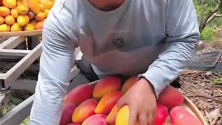 Farm fresh ninja fruit cutting #42 | Ly Chynh St #shorts