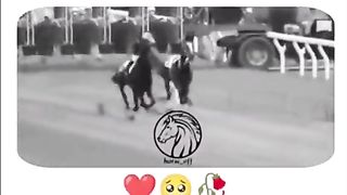 جیتنے کی عادت