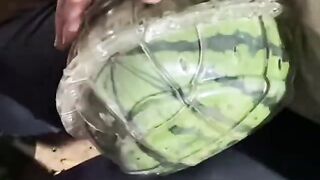 Farm fresh ninja fruit cutting #45 | Ly Chynh St #shorts
