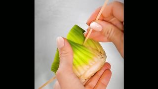 Best tips for growing plants at home