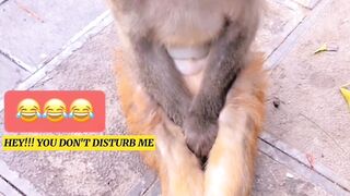 Don't disturb me