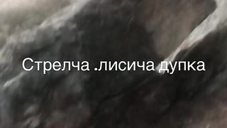 ЛИСИЧАТА  ДУПКА  СТРЕЛЧА