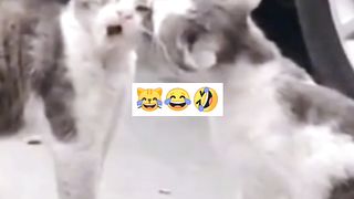 Mother f*ck u ????