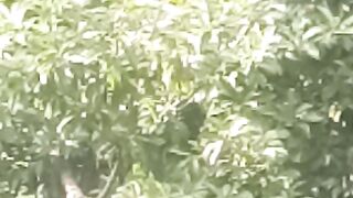 Buah kita