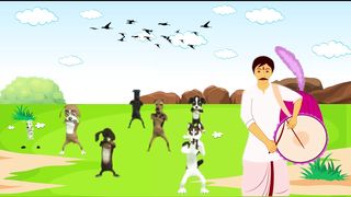 animals funny  dance