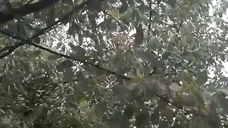 Nature 89