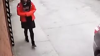 Dog save the girl.