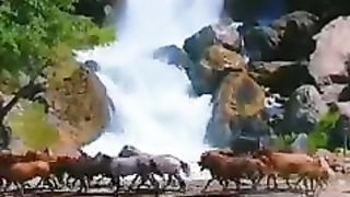 تلاوت القرآن الکریم????