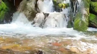 Nature | Soothing Music