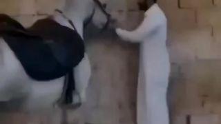Funny video