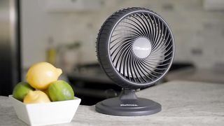 Table Fan, 2 Speeds, 3 Blades, 85° Oscillation, 20° Adjustable Head, Home, Bedroom and Office