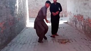 Funny 896