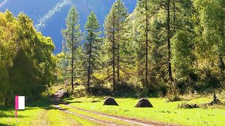 ✅Música relaxante para meditação trazendo bem- estar e equilíbrio emocional, eliminando ansiedade