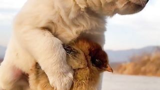 I give you warmth in cold weather
